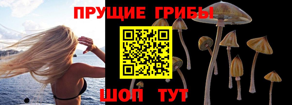 Галлюциногенные грибы ЛСД  Вход с VPN  Мытищи  Галлюциногенные грибы Cubensis 